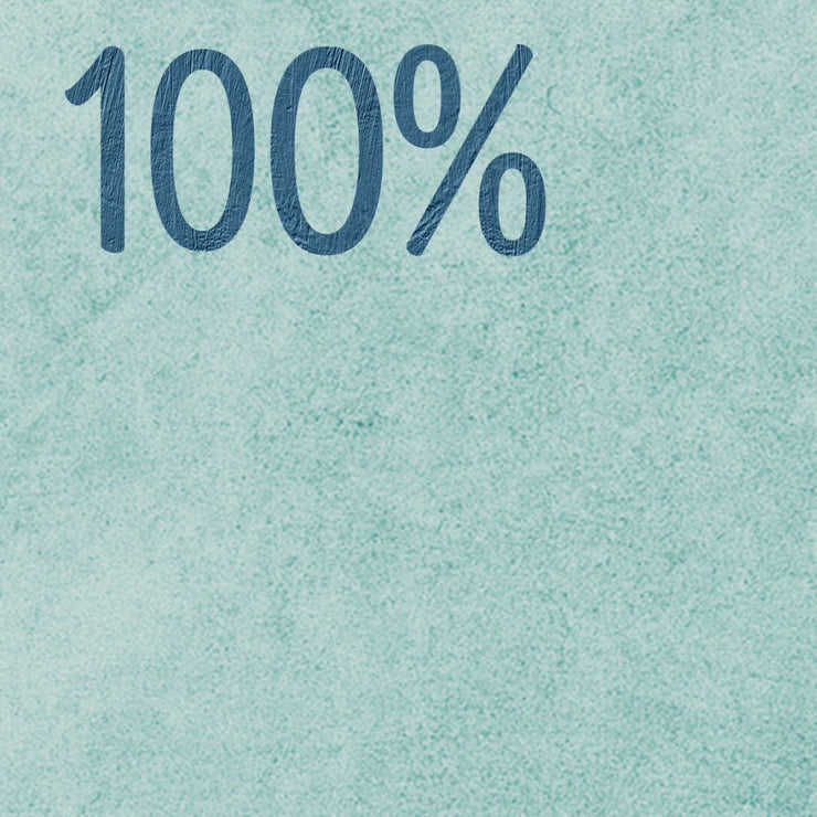 A6 Electrowall Barrier